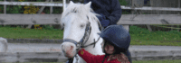 Mädchen führt weißes Pferd