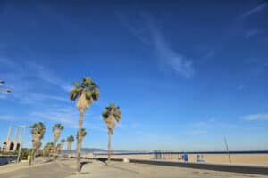 Palmen an einer Strandpromenade unter blauem Himmel
