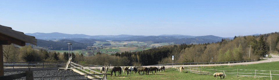 Ausblick über Weiden und den Bayerischen Wald