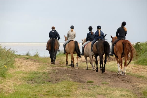 Jugendliche lernen Reiten im Reitcamp Goch