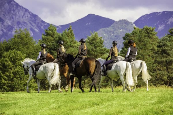 Im Reitcamp tolle Reitferien erleben und dabei Englisch lernen