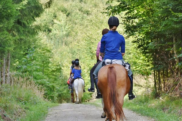 Kinder lernen Reiten im Reitcamp Leipzig