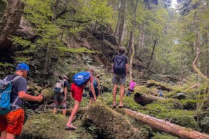 Jugendliche im Wald