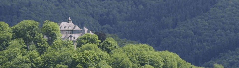 Burg Freusbburg aus der Ferne mit Hügeln